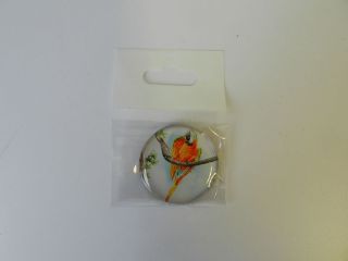 Obrázek z Magnet kulatý ara žlutá 3,5cm 